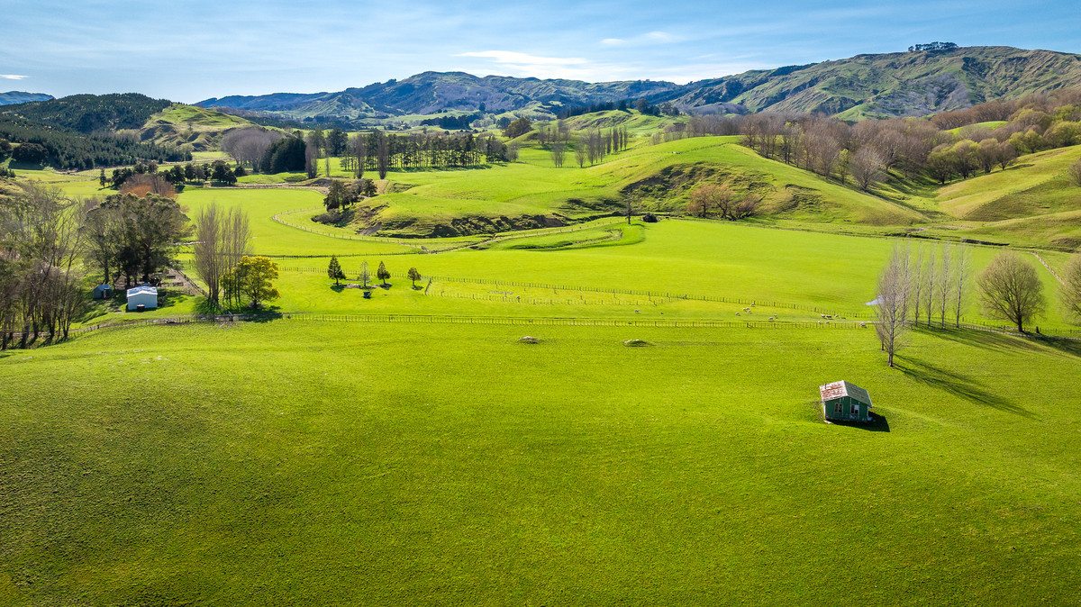 Well located 153 hectares – finishing & breeding