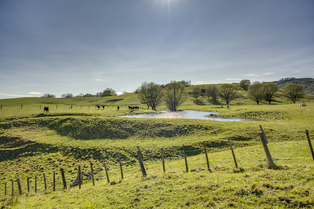 Well located 153 hectares – finishing & breeding