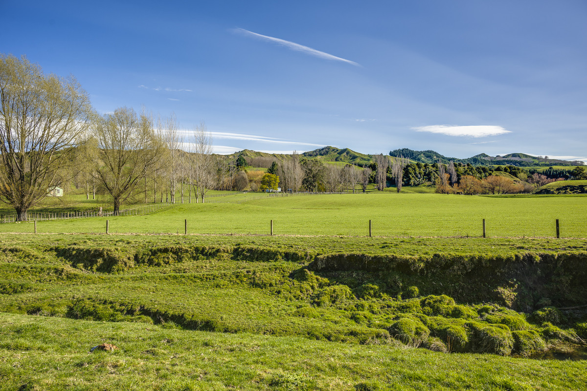 Well located 153 hectares – finishing & breeding