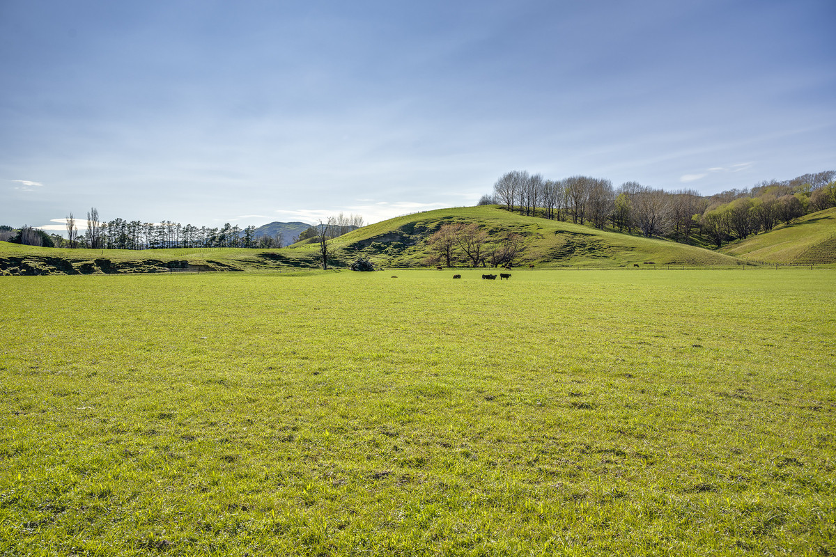 Well located 153 hectares – finishing & breeding