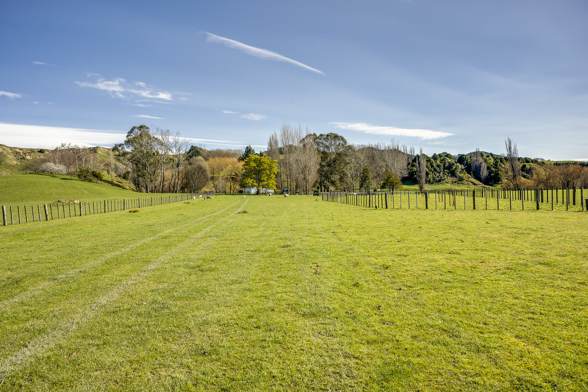 Well located 153 hectares – finishing & breeding