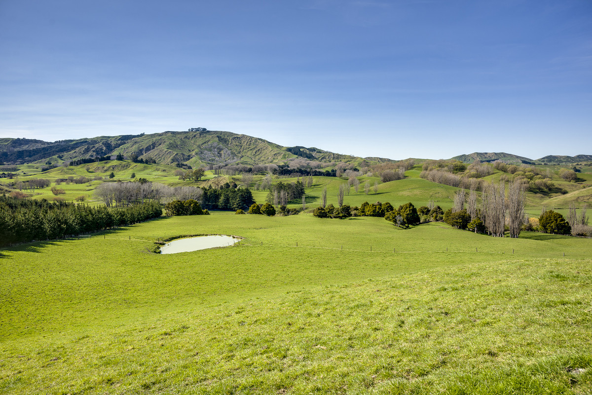 Well located 153 hectares – finishing & breeding