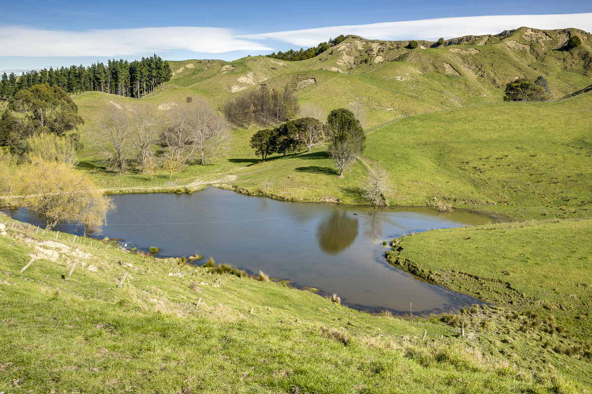 Well located 153 hectares – finishing & breeding