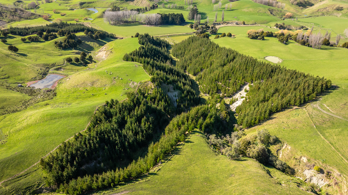 Well located 153 hectares – finishing & breeding
