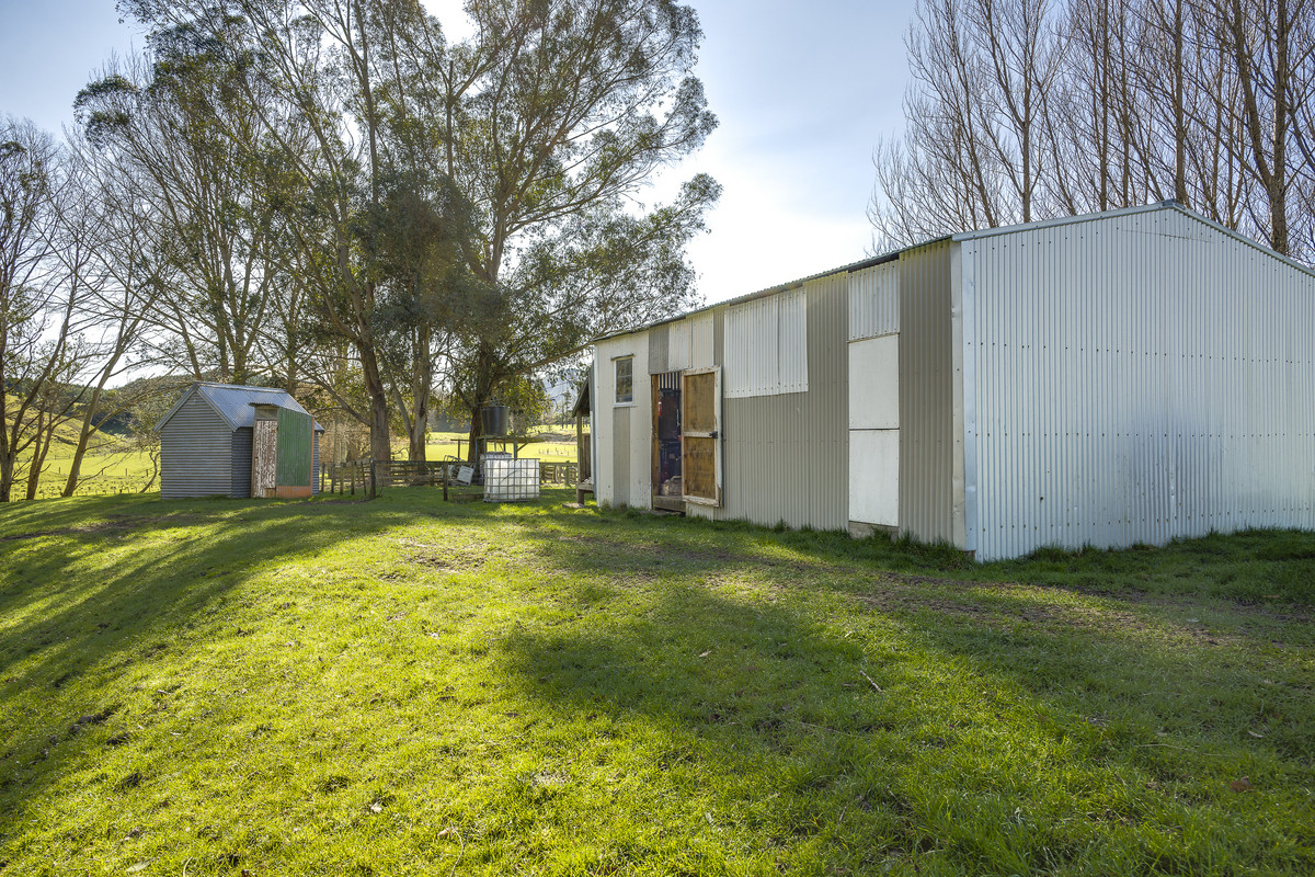 Well located 153 hectares – finishing & breeding