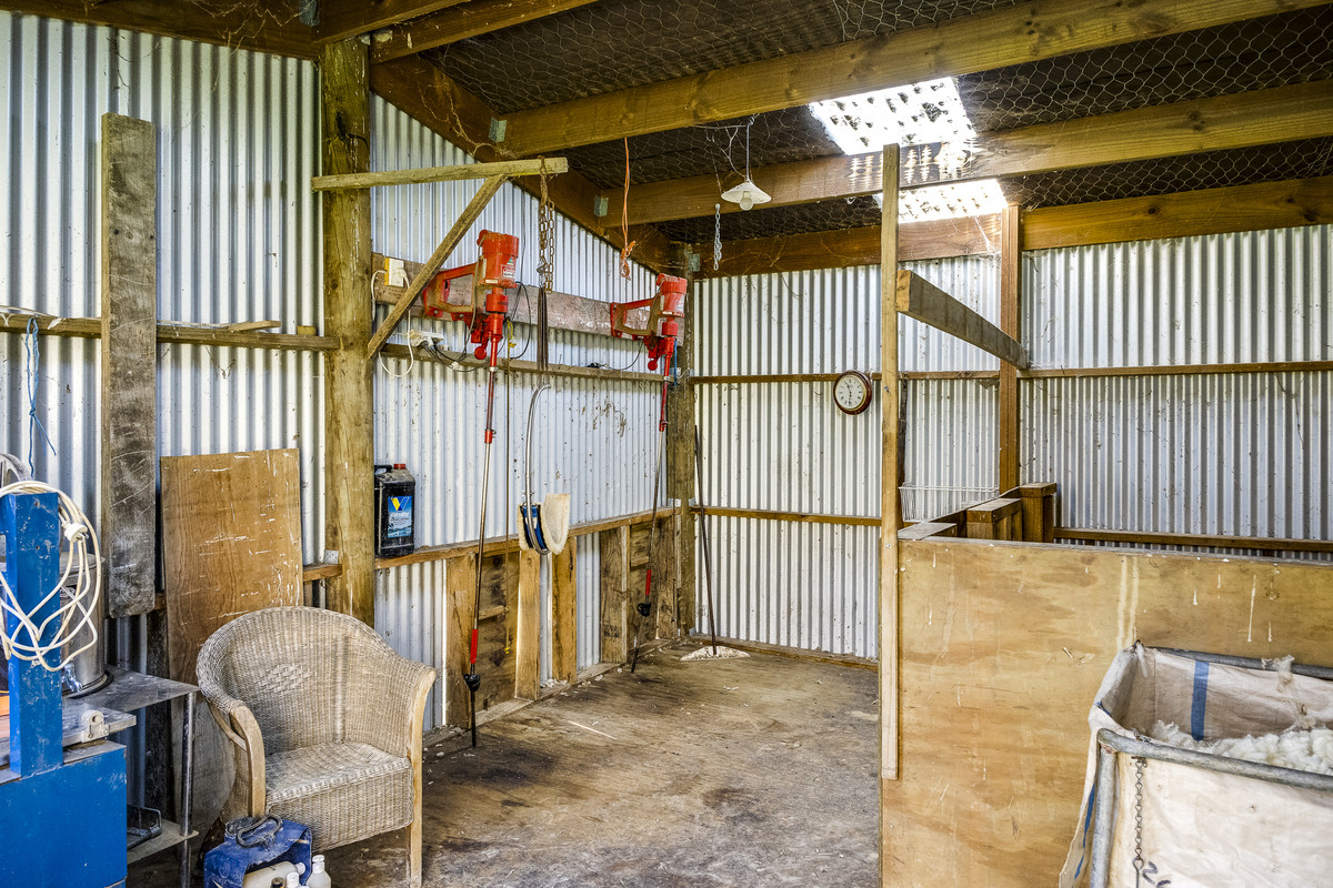 Well located 153 hectares – finishing & breeding