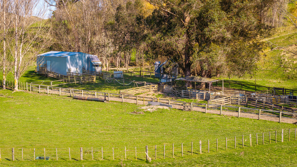 Well located 153 hectares – finishing & breeding