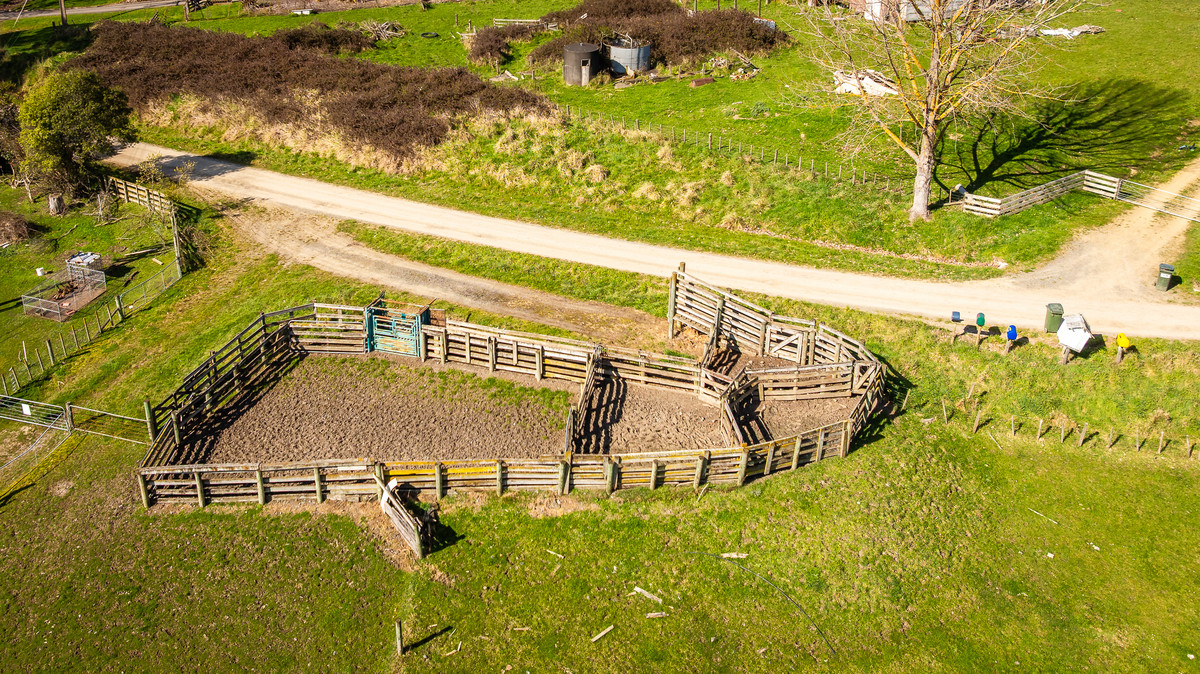 Well located 153 hectares – finishing & breeding