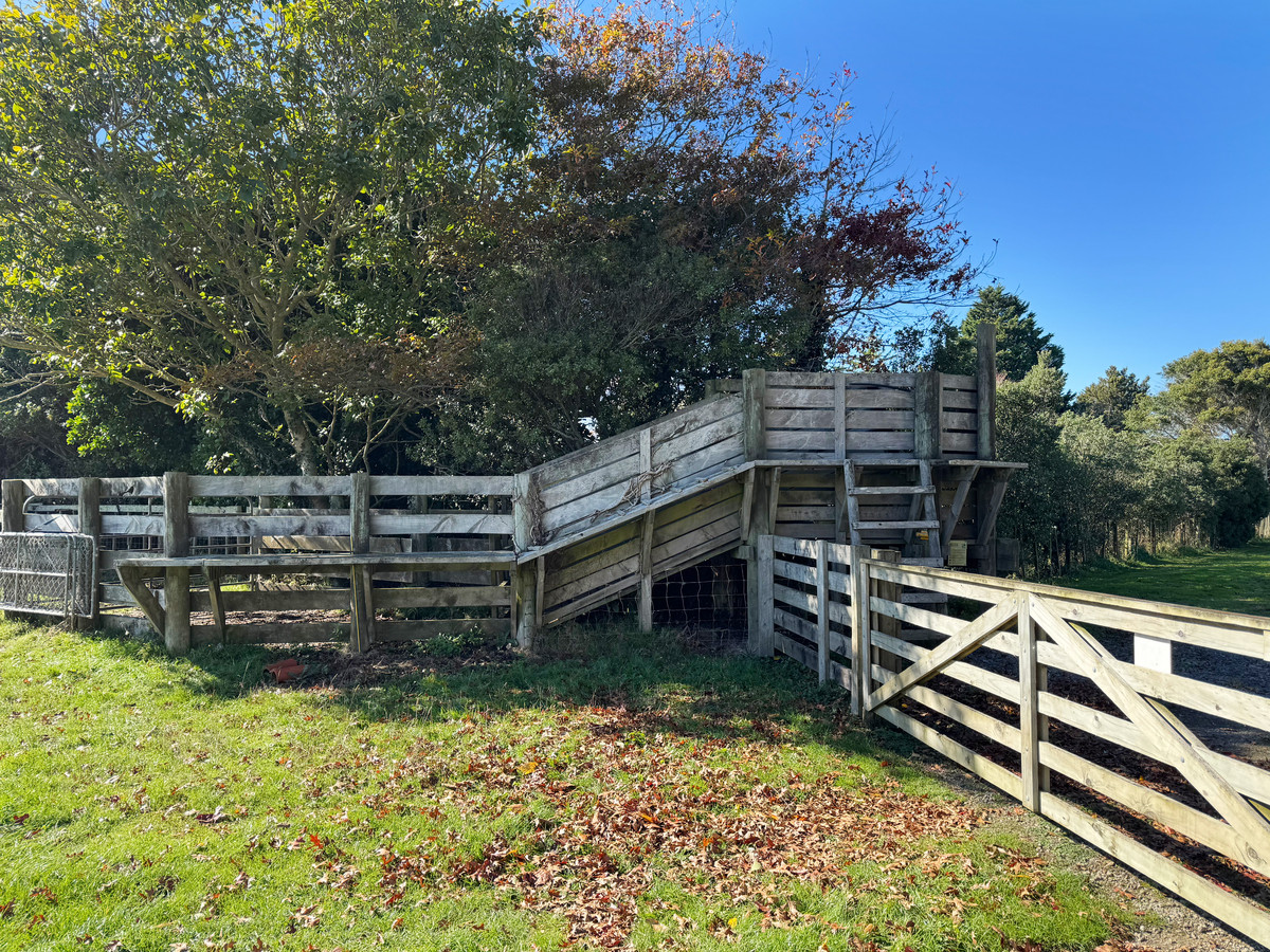 Discover a larger Lifestyle