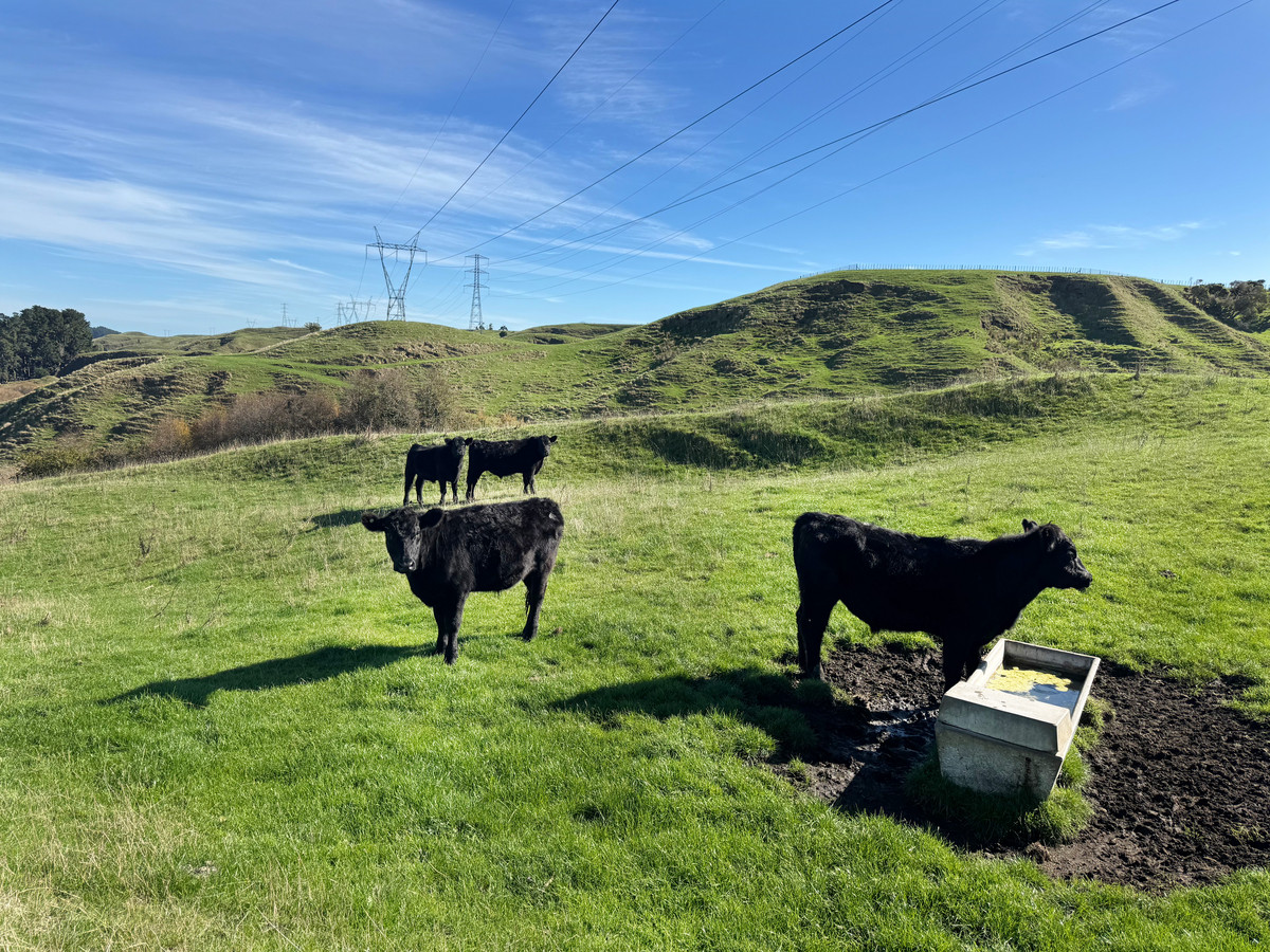 Discover a larger Lifestyle