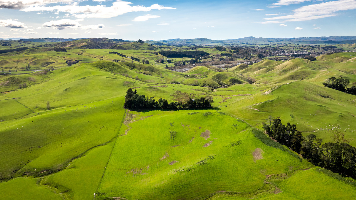 Location and opportunity – 359ha next to Waipawa