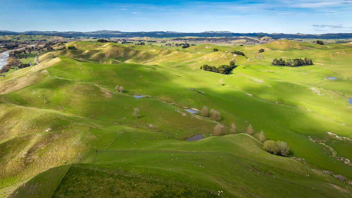Location and opportunity – 359ha next to Waipawa