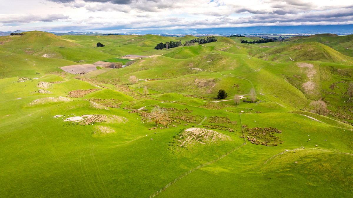 Location and opportunity – 359ha next to Waipawa