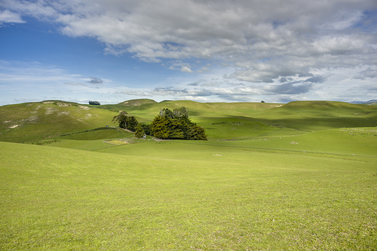 Location and opportunity – 359ha next to Waipawa