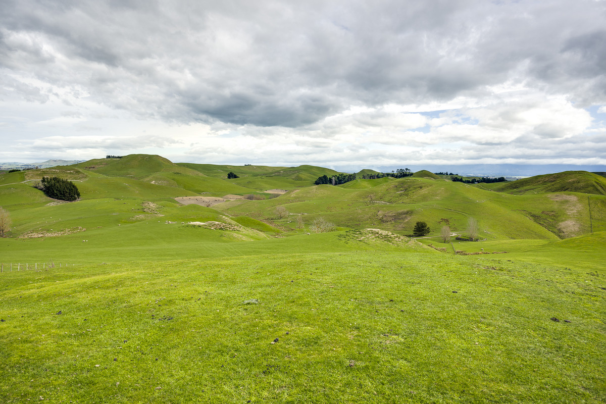 Location and opportunity – 359ha next to Waipawa