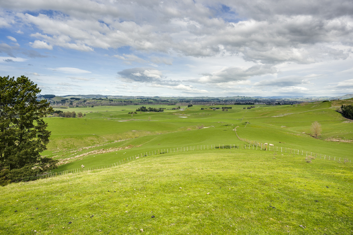 Location and opportunity – 359ha next to Waipawa