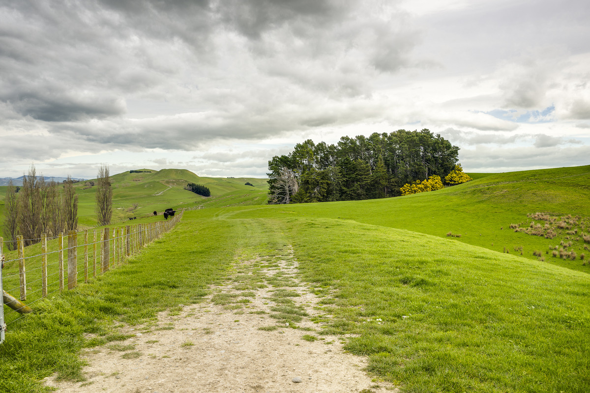 Location and opportunity – 359ha next to Waipawa