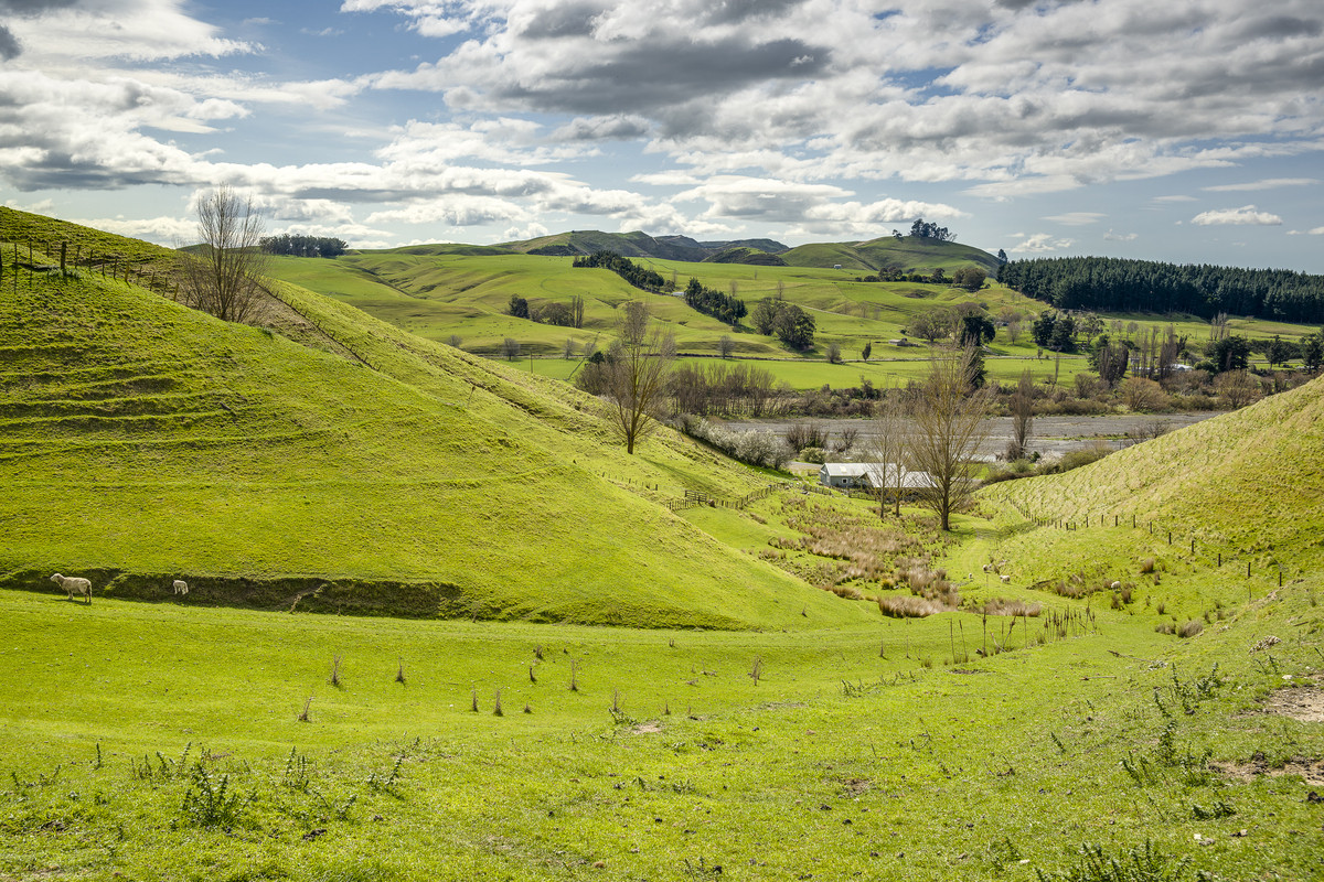 Location and opportunity – 359ha next to Waipawa