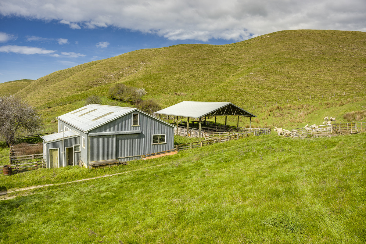 Location and opportunity – 359ha next to Waipawa