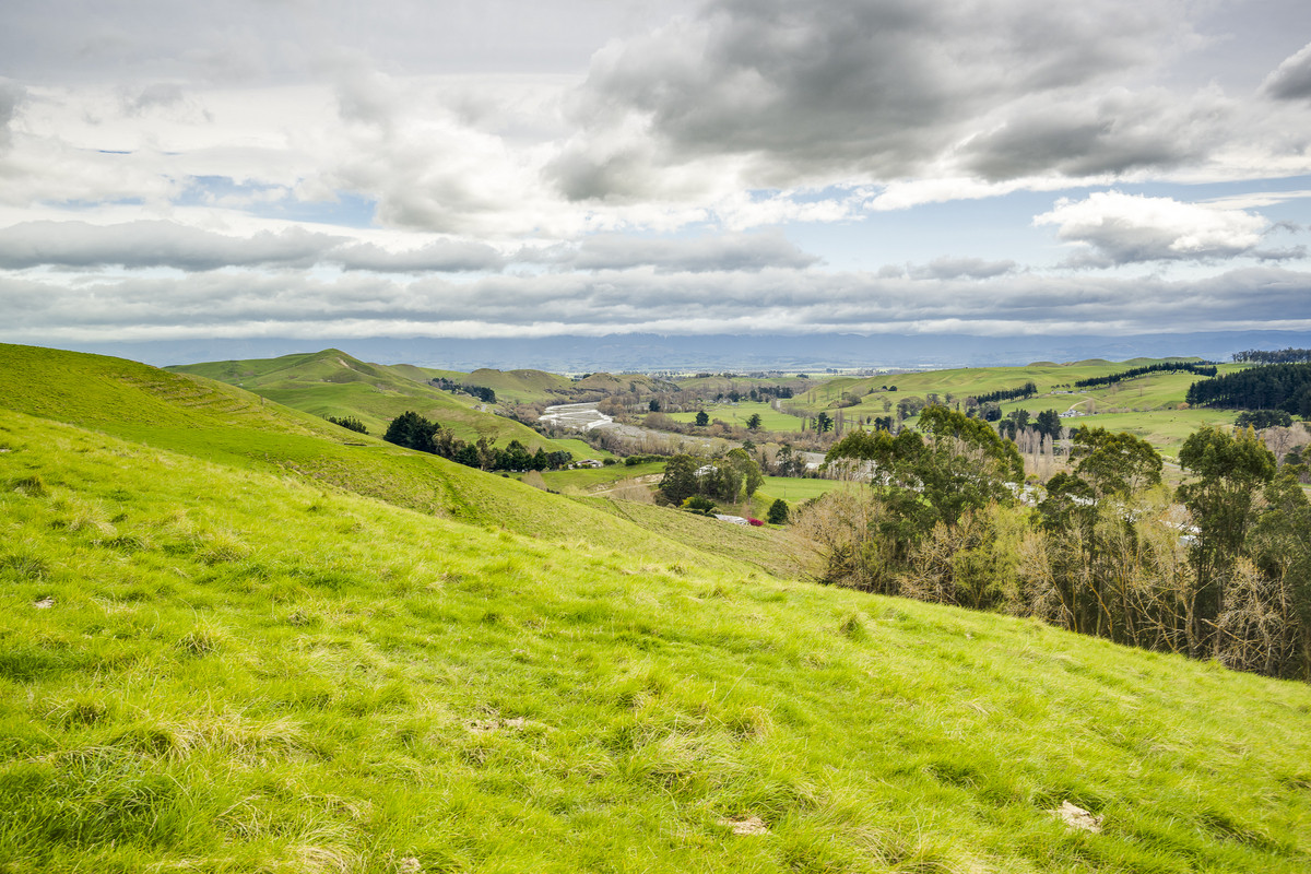 Location and opportunity – 359ha next to Waipawa