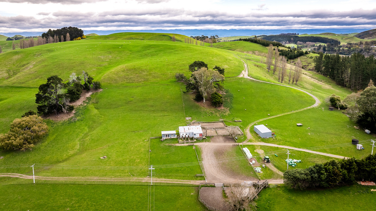 Location and opportunity – 359ha next to Waipawa