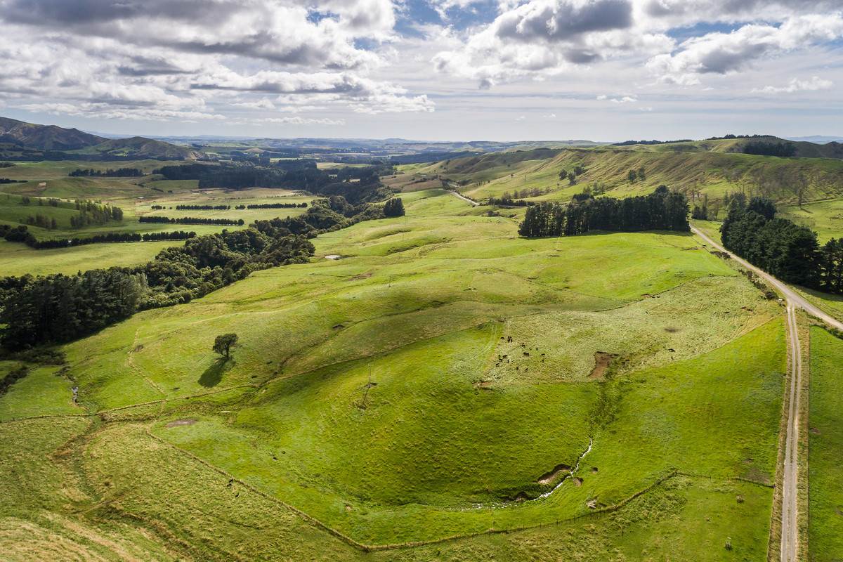 98 Acres, modernised home, views, Infrastructure.
