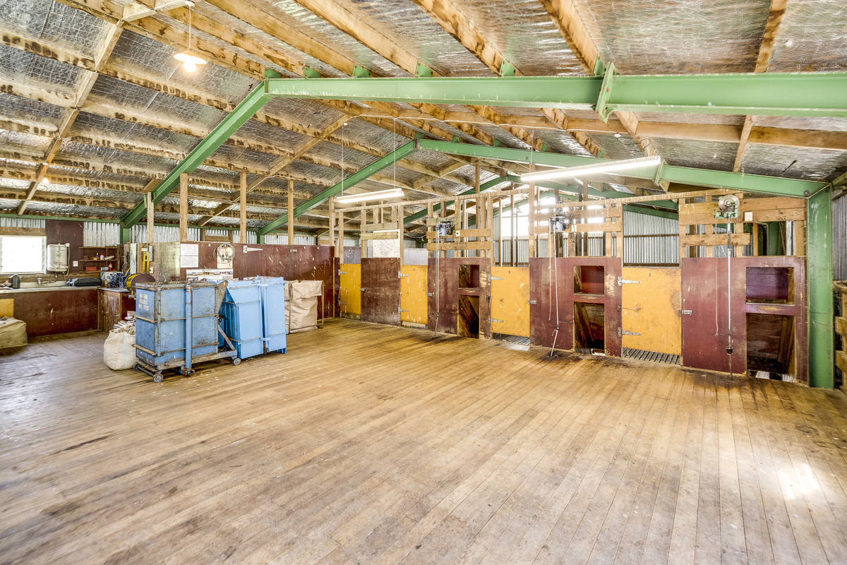 98 Acres, modernised home, views, Infrastructure.