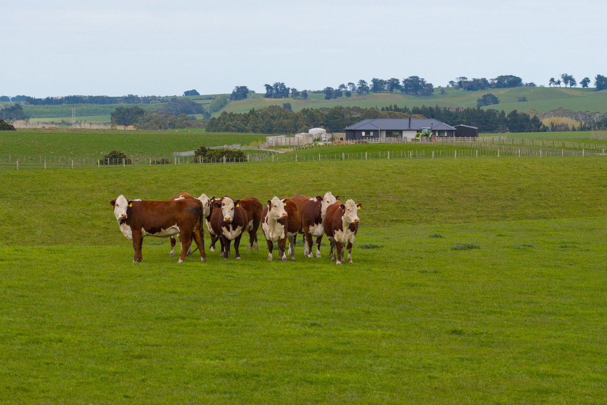 Modern Home & Close To Town on 64 Hectares Modern Home & Close To Town on 64 Hectares