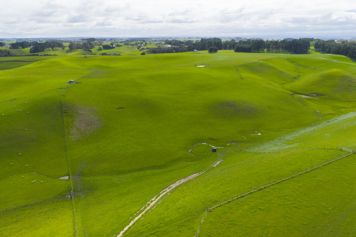 Modern Home & Close To Town on 64 Hectares