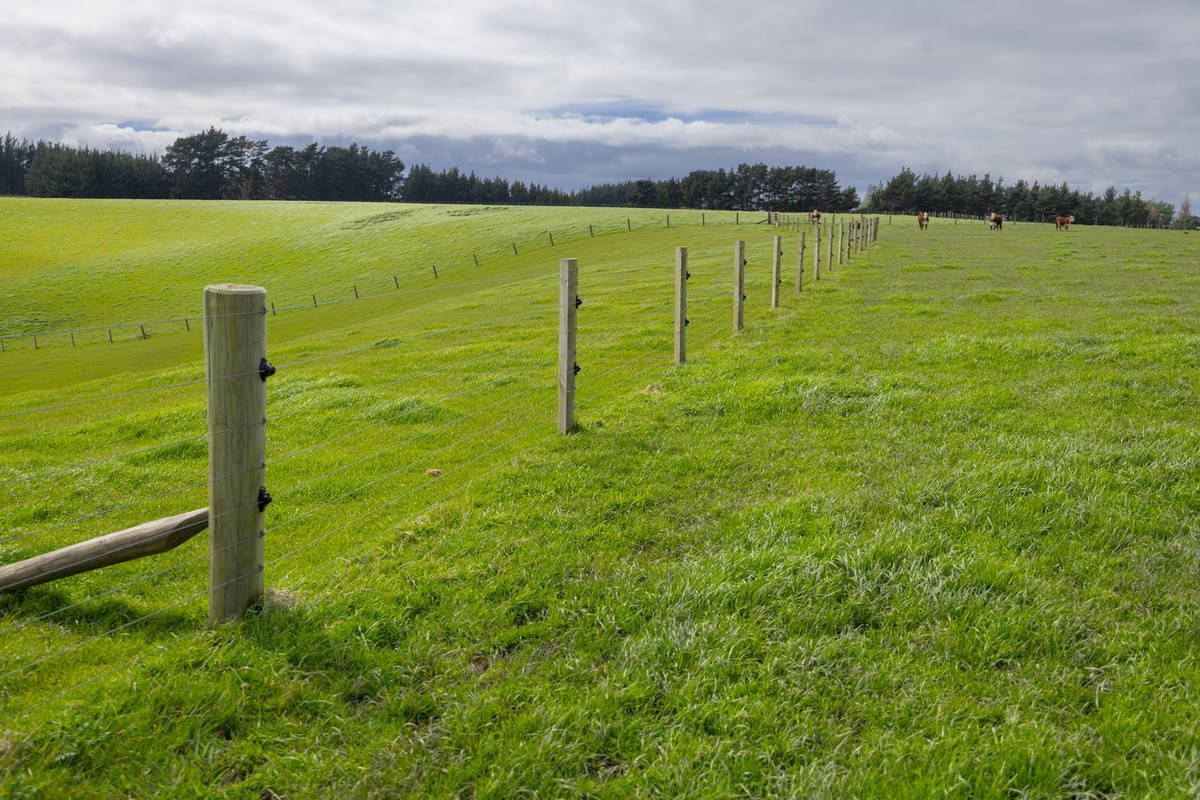 Modern Home & Close To Town on 64 Hectares