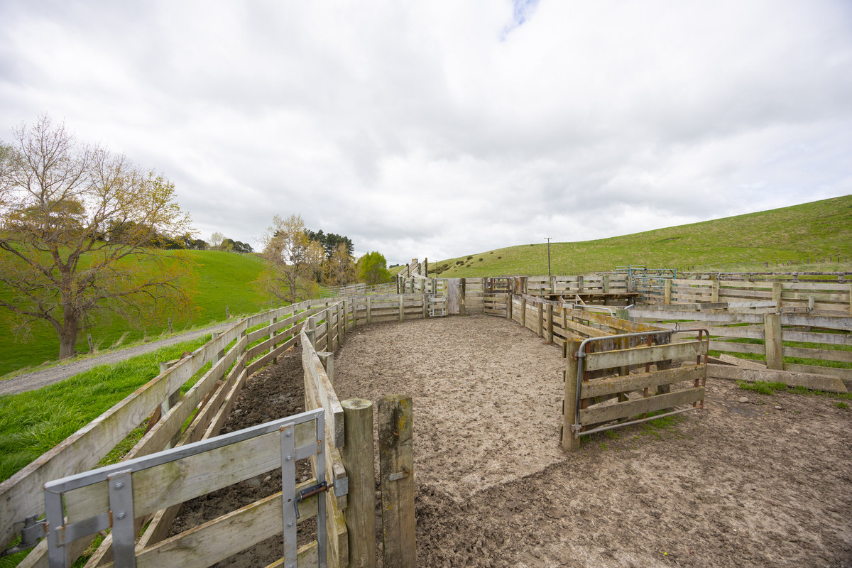 Modern Home & Close To Town on 64 Hectares