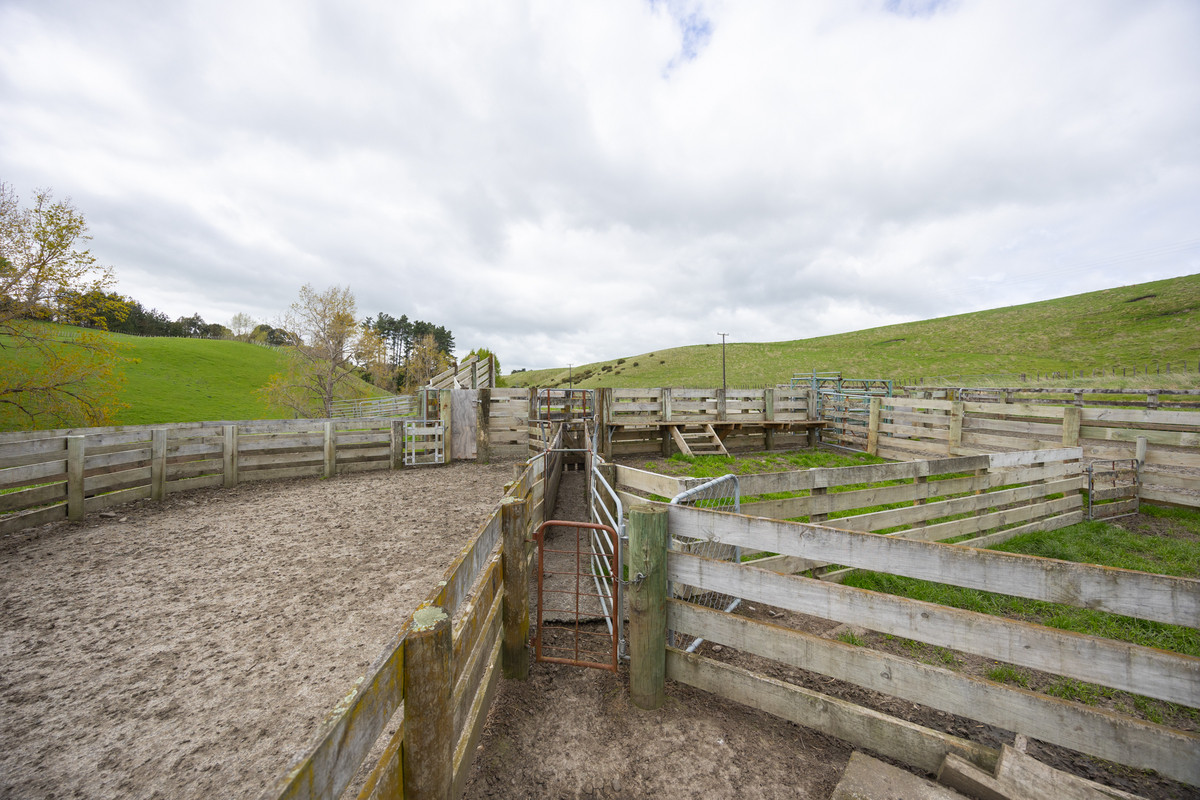 Modern Home & Close To Town on 64 Hectares