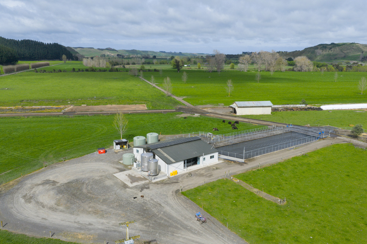 Quality Soils, Improvements & Handy To The City