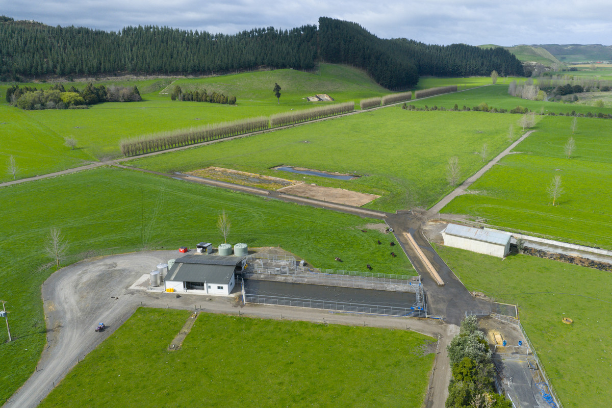Quality Soils, Improvements & Handy To The City
