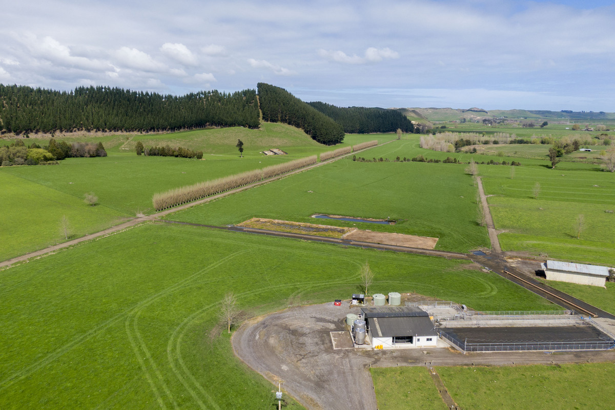 Quality Soils, Improvements & Handy To The City