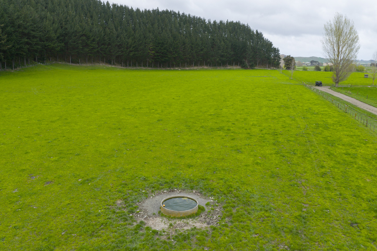 Quality Soils, Improvements & Handy To The City