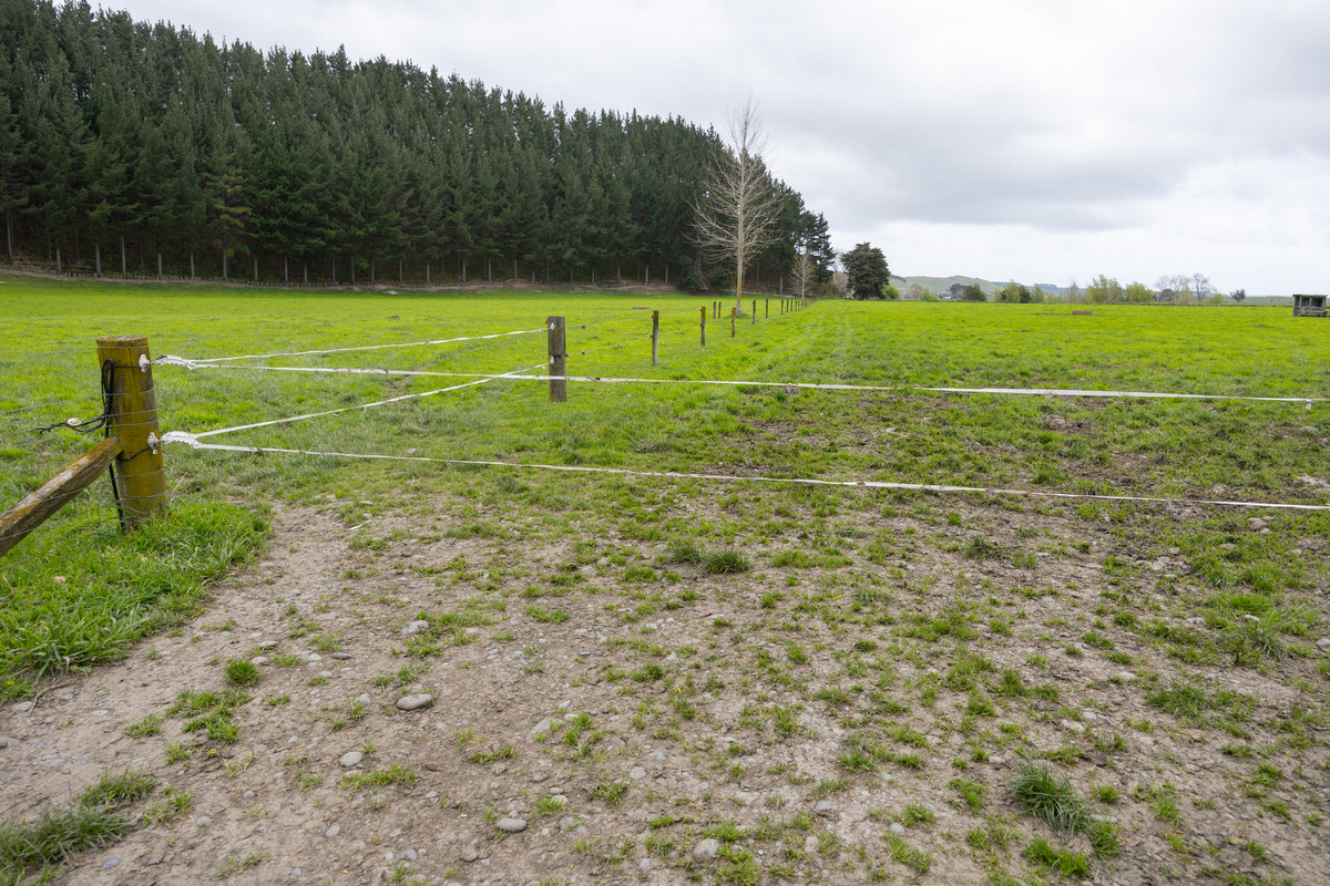 Quality Soils, Improvements & Handy To The City