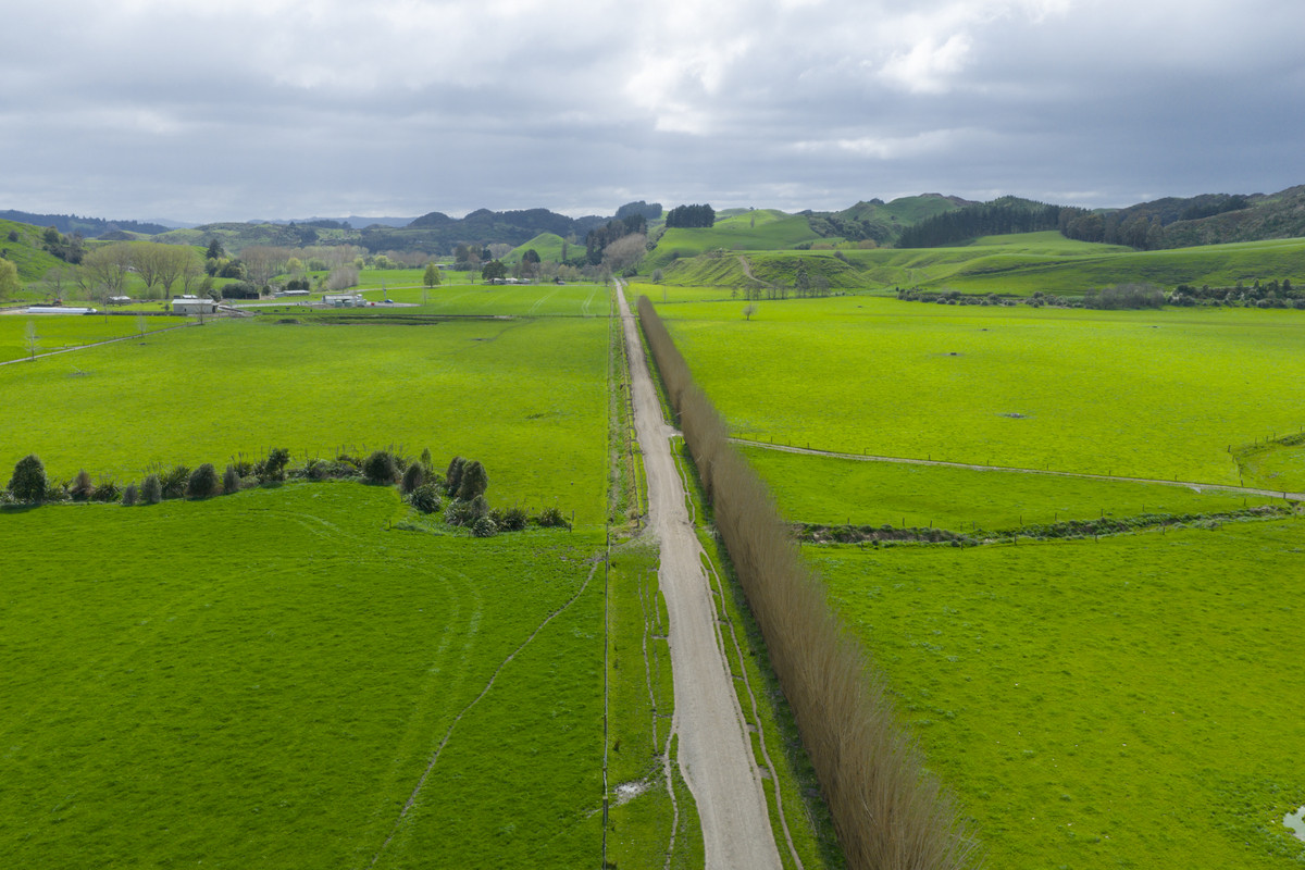 Quality Soils, Improvements & Handy To The City