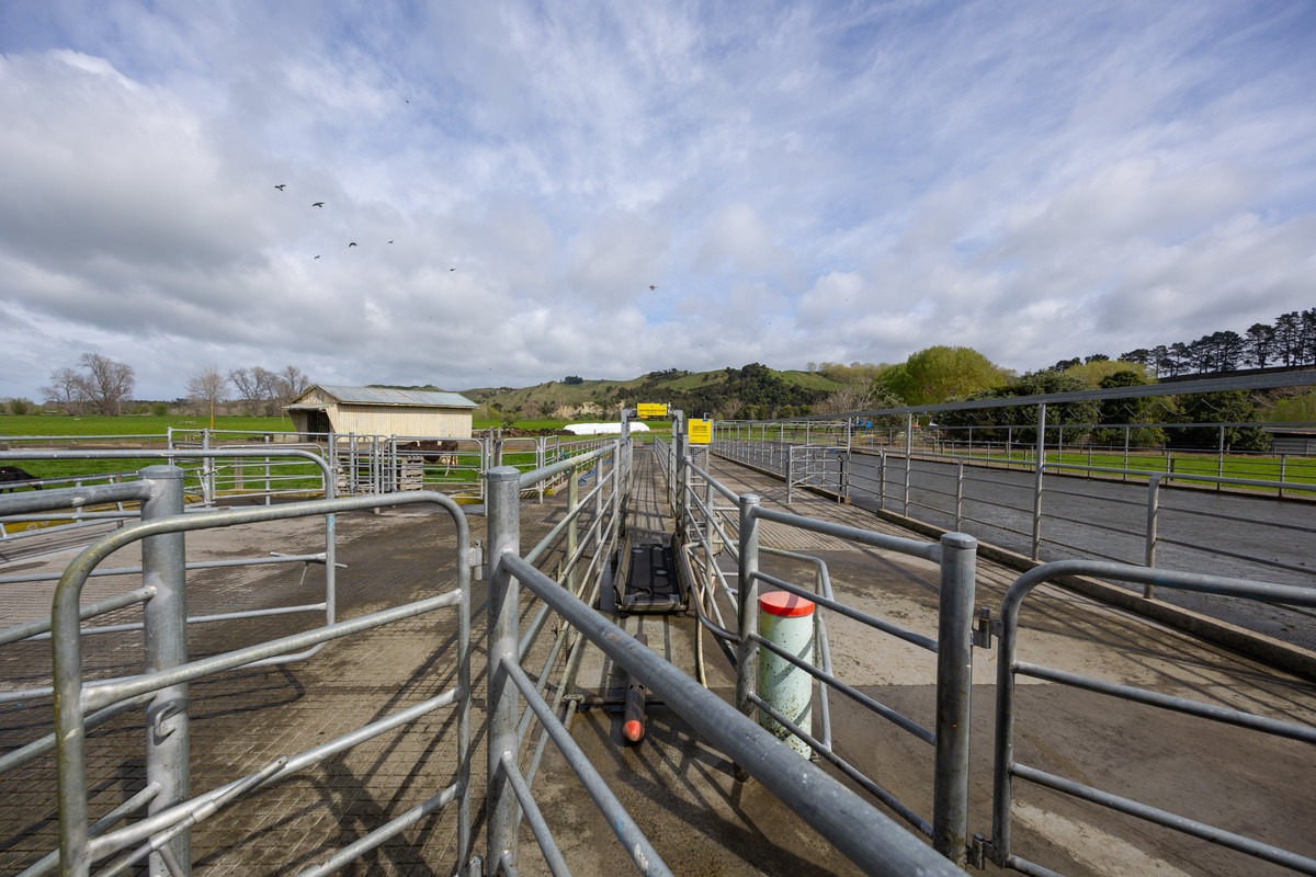 Quality Soils, Improvements & Handy To The City
