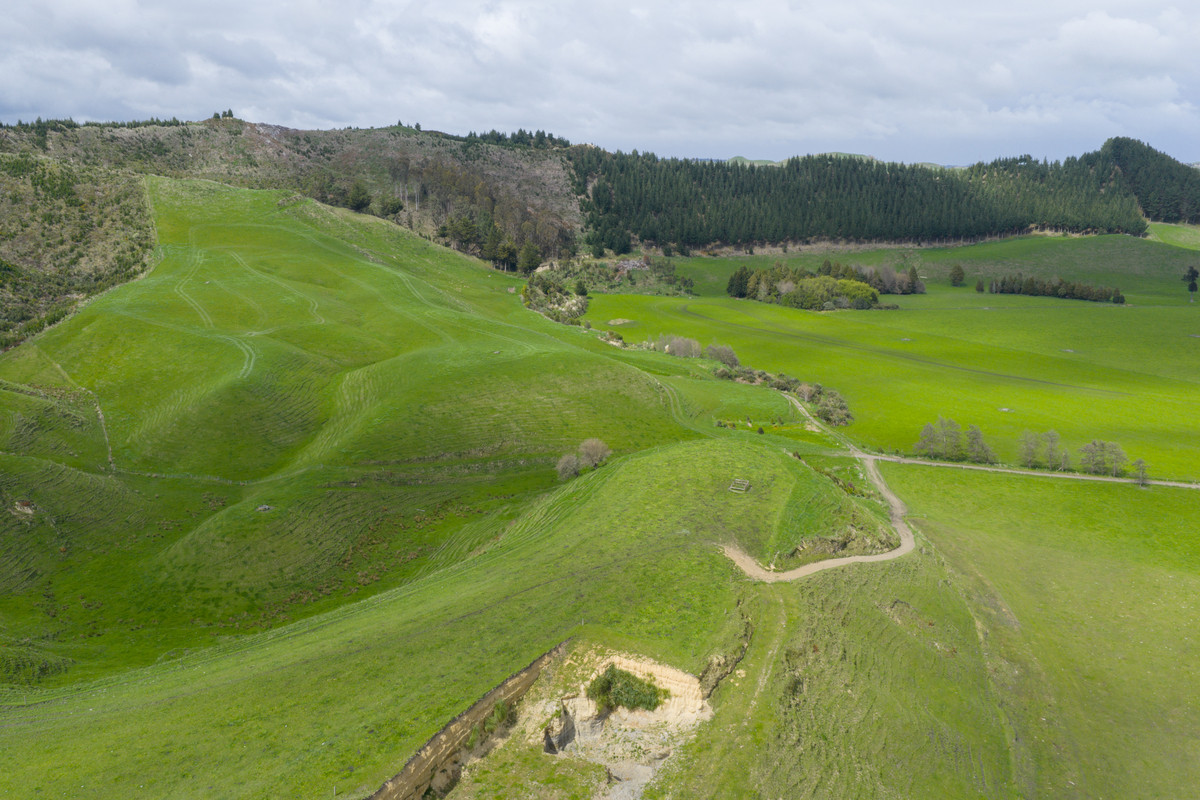 Quality Soils, Improvements & Handy To The City