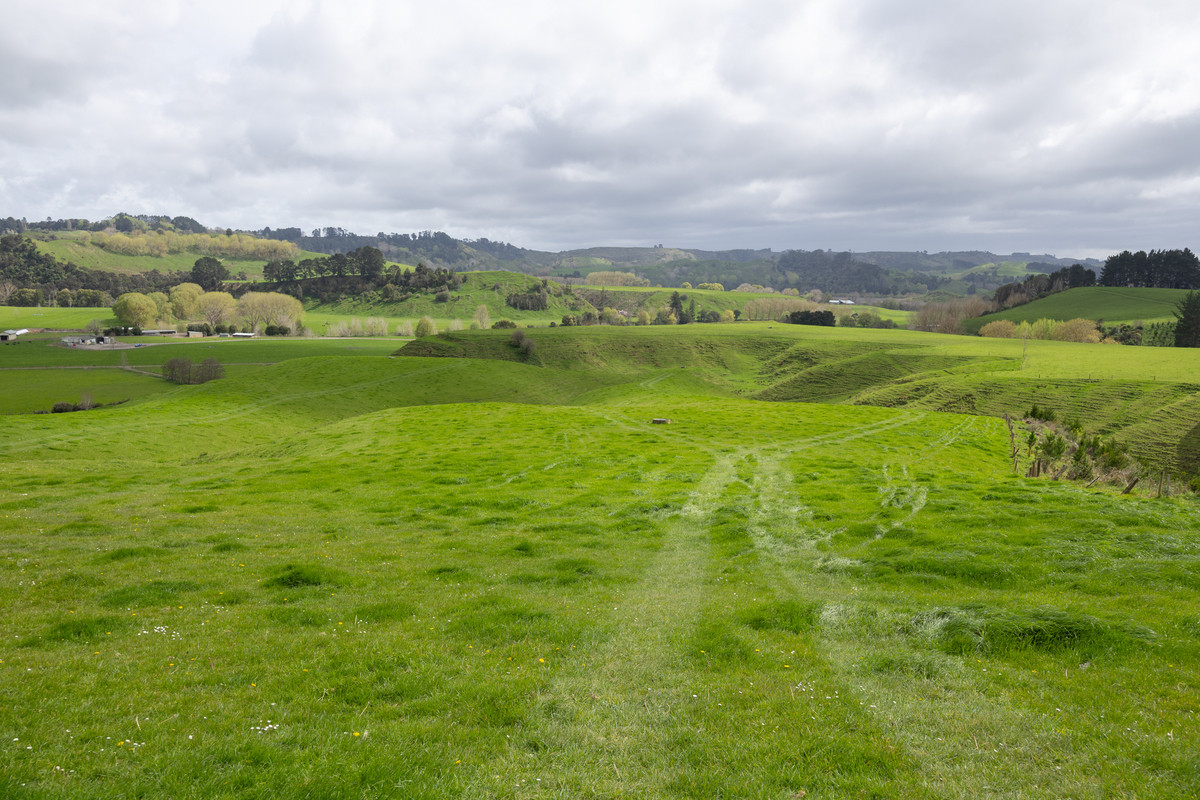 Quality Soils, Improvements & Handy To The City