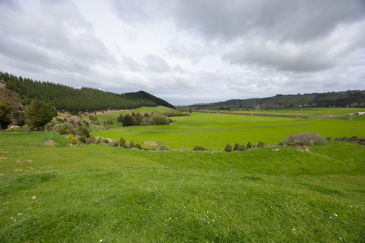 Quality Soils, Improvements & Handy To The City