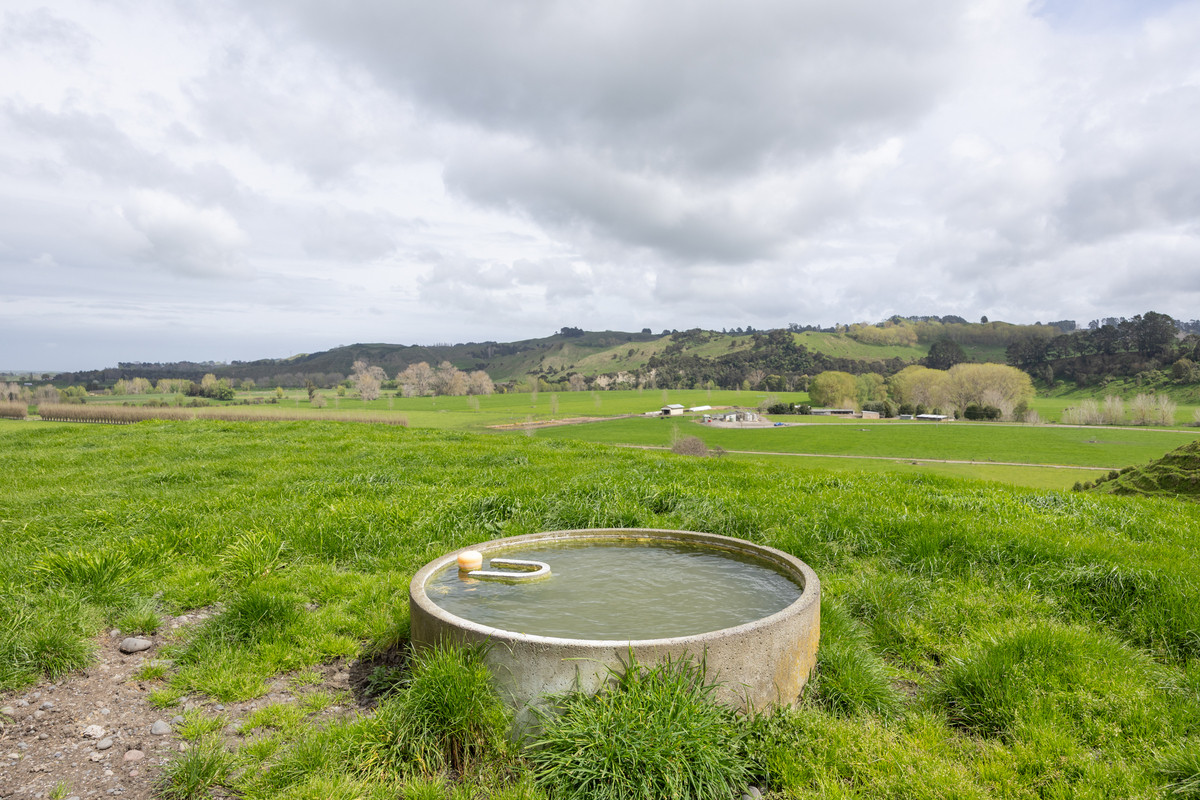 Quality Soils, Improvements & Handy To The City