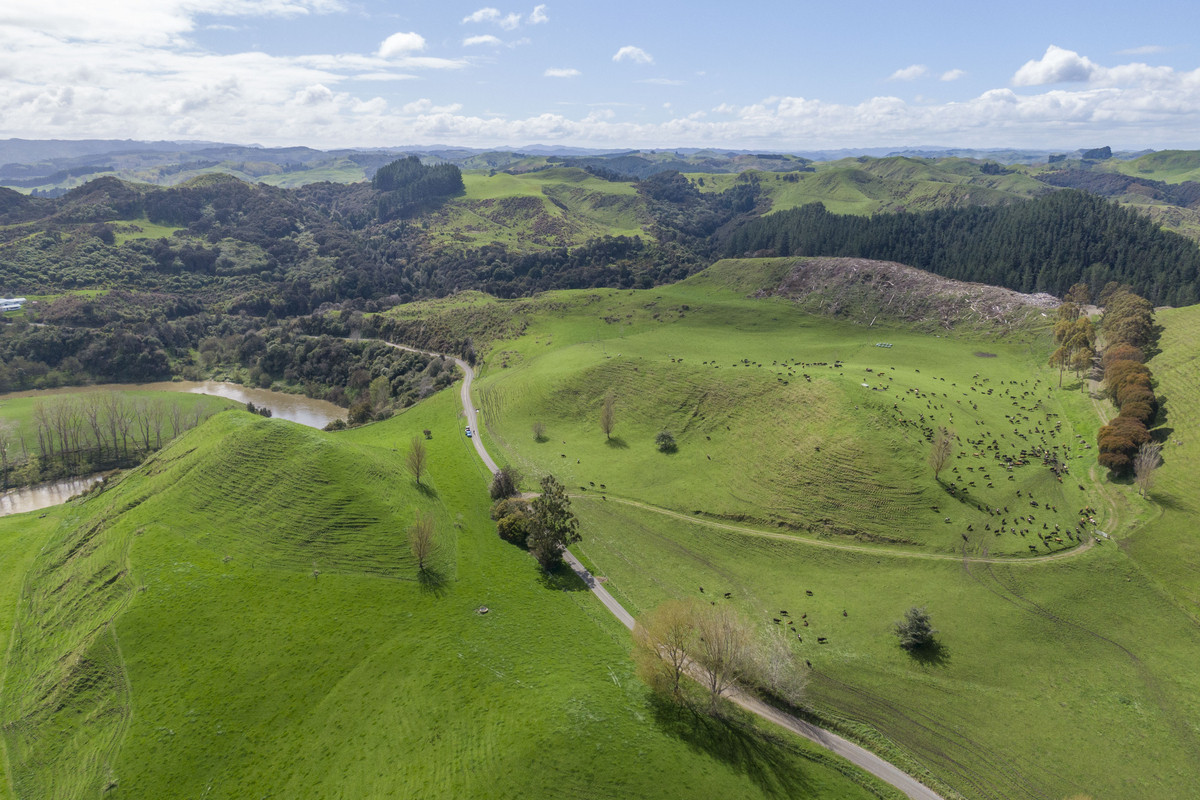 Quality Soils, Improvements & Handy To The City
