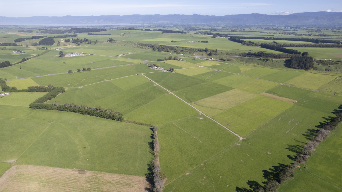 Proven, Productive and Positioned - Smithfield Dairy Farm