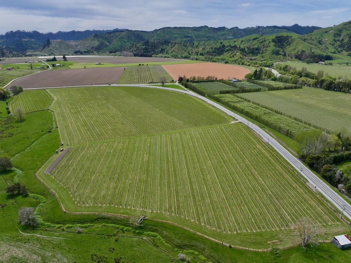 Finishing, Cropping and Viticulture options Finishing, Cropping and Viticulture options