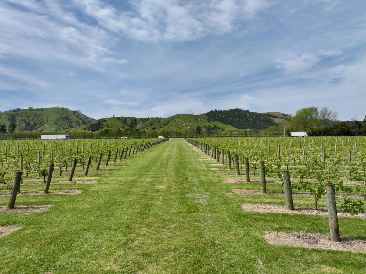 Finishing, Cropping and Viticulture options