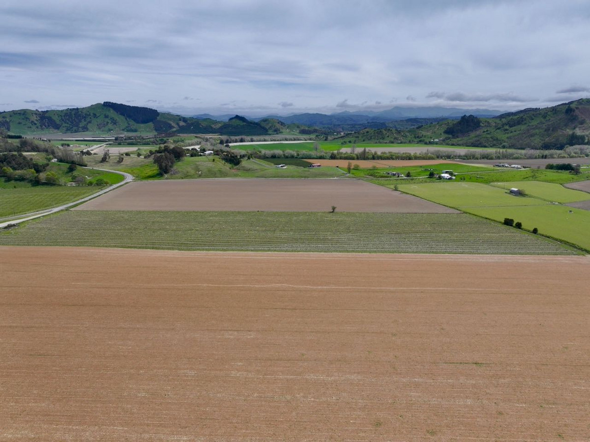 Finishing, Cropping and Viticulture options