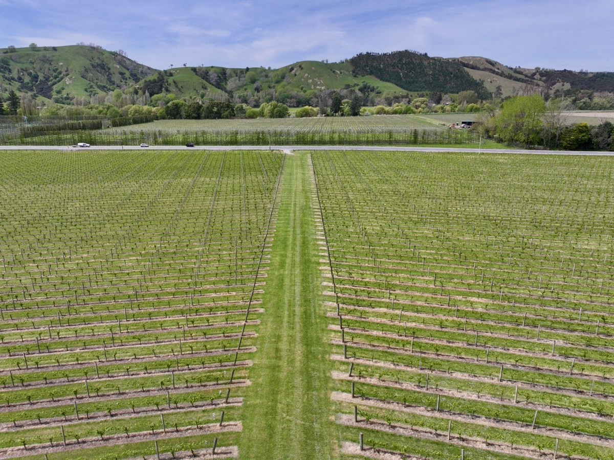 Finishing, Cropping and Viticulture options