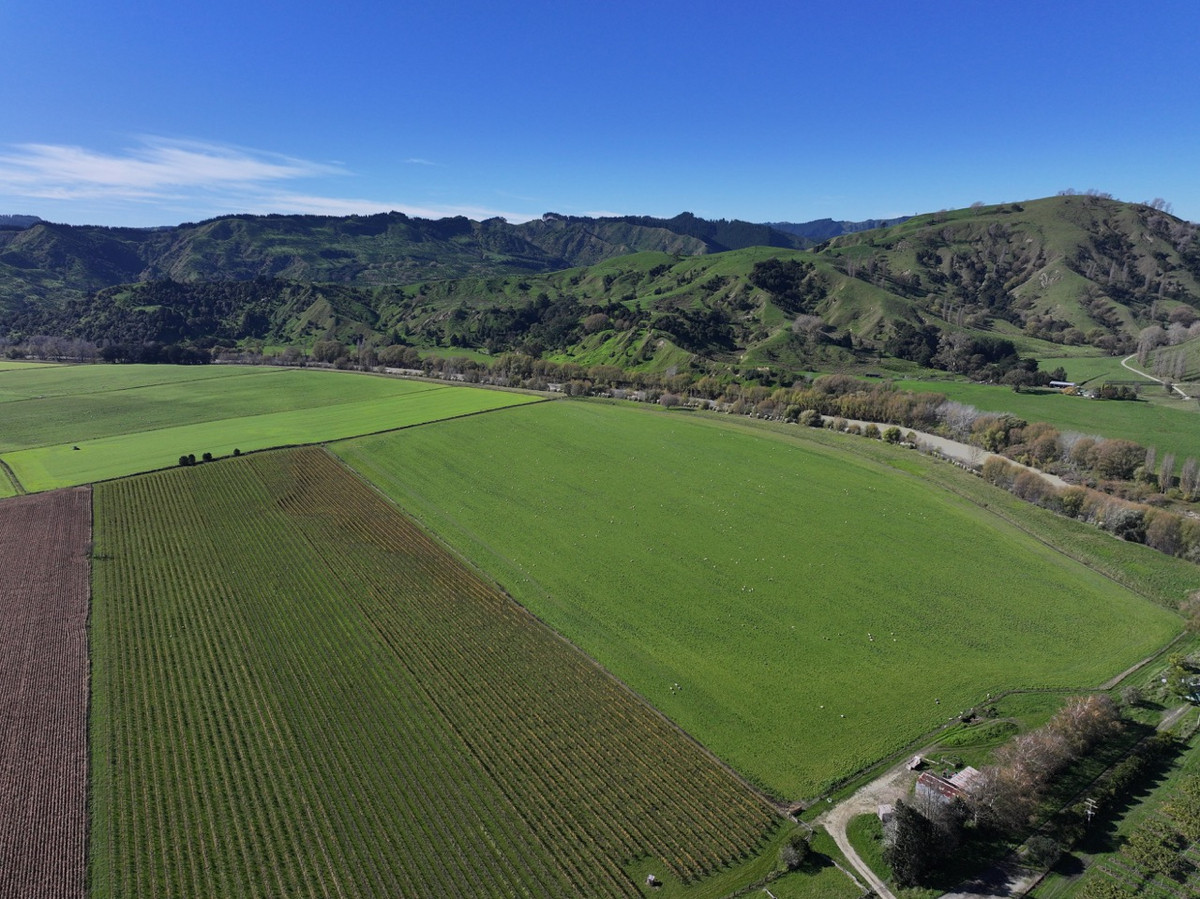 Finishing, Cropping and Viticulture options